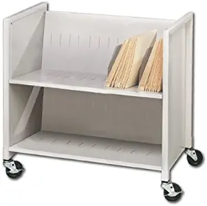 Buddy Products Two Slant Shelf Medical Cart, Steel, 16.125 x 30.25 x 31.875 Inches, Platinum (5422-32)