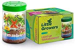 Momila Light-up Terrarium Kit for Kids, Gifts for 5 6 7 Years olds, Boys and Girls ,stem Toys and Educational Crafts ,Science Kits w/ LED Light On Lid & Lifelike Miniatures