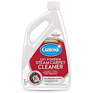 Carbona 2in1 Oxy Steam Cleaner