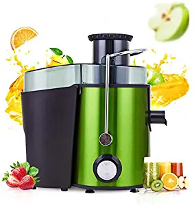 Stainless Steel Juicer Fruit and Vegetable Juice Extractor Portable Household Fruit Dispenser Milkshake Maker
