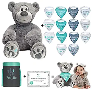 Milestone Teddy Baby Monthly Milestone Bibs - Unique Baby Gift for New Moms | 18" Plush Teddy Bear with 14 Unisex Bandana Bibs | Newborn Photo Prop | Baby Shower Must Have | Sending Virtual Hugs