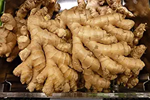 Organic fresh ginger from Pure (4)